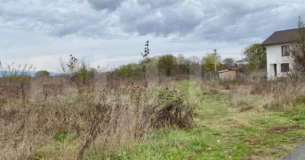 Teren intravilan, Aleea Dumbrava