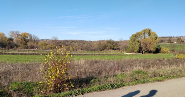 EXCLUSIVITATE -Teren Simnicul de Sus - 1000mp Intravilan