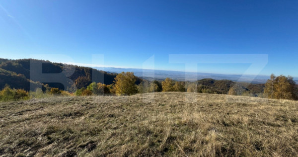 Teren extravilan 54.722 mp in Târsa