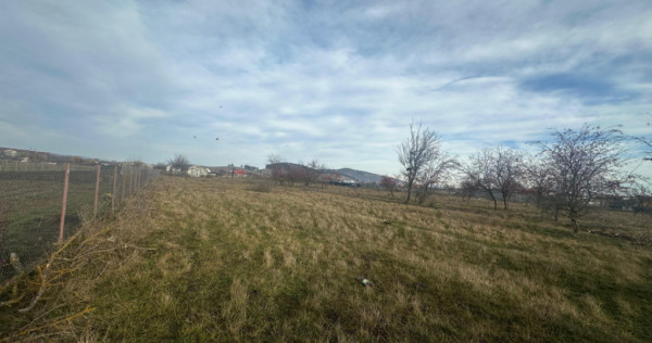 Teren Intravilan 865 mp Sanpetru