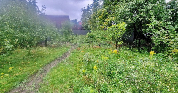 Curte Generoasa Pretabil After School