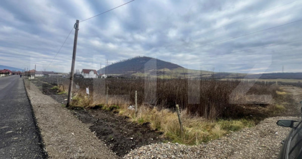 Teren intravilan, 10 ari, ideal pentru casa/hala, zona Sarat