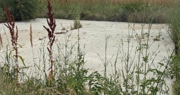 TEREN VIDRA BERCENI 307 MP