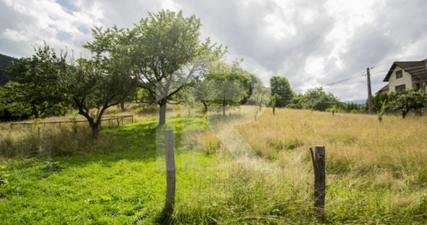 Teren investitie Bran - Predelut, la 2 km de Castelul Bran