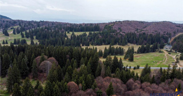 FILM! 1.000 mp,PUZ,regim P 2 M,destinatii turistice rezident