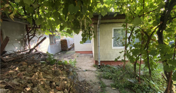 Casa de in Voluntari