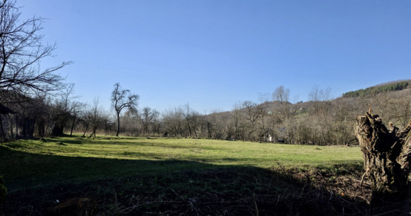 Teren 4.549 mp intravilan, cu posibilitate de parcelare.