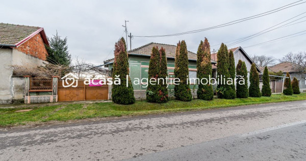 Casă + livadă t&acirc;nără + curte 2.500 mp &icirc;n Dorobanți