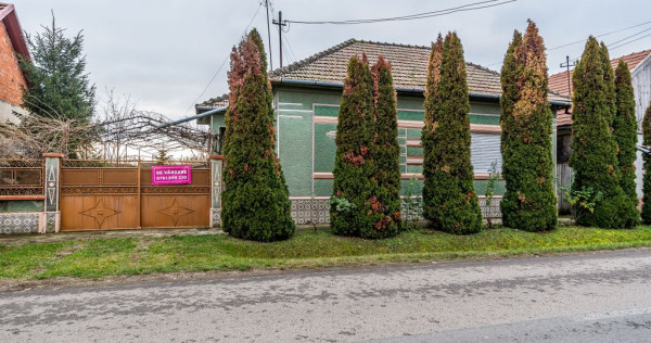 Casă &icirc;n Dorobanți cu livadă + curte 2500 mp