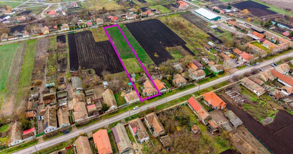 Un domeniu rural, definit prin spațiu și libertate &icirc;n ...