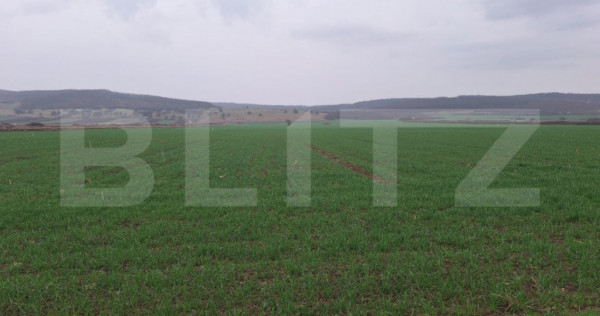 Teren extravila CUGIR 10.000 mp