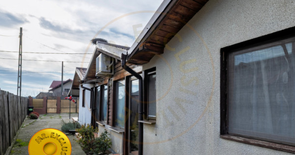 Doua case in aceeasi curte Pitesti, Strada Turcesti