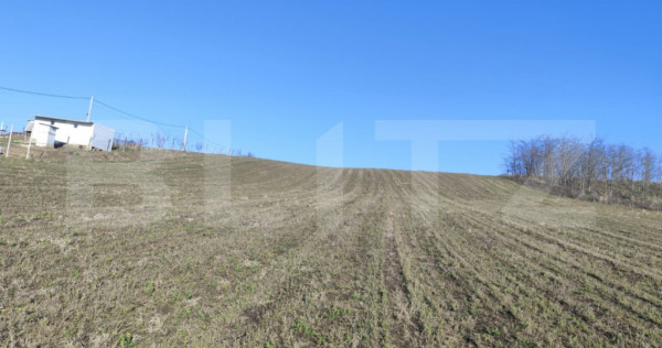 Teren 5000 mp Rediu, oportunitate investitie