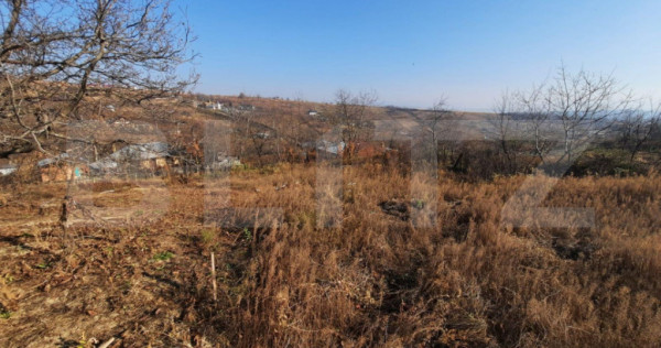 Teren 4990 mp intravilan, Tomesti- Chicerea