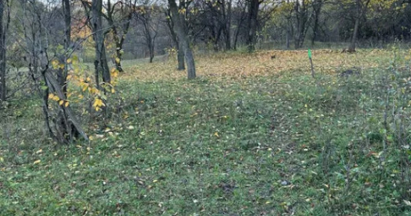 Teren intravilan 2.050 mp &ndash; Comuna Izvoarele, județul Pra