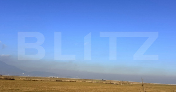 Teren de inchiriat 10.000mp -CRISTIAN