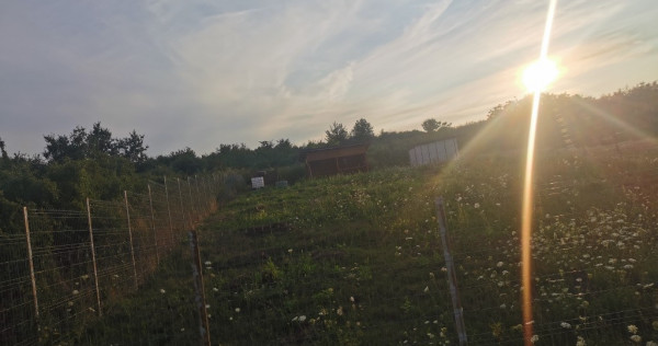 Teren 856mp Strada Sfintii Voievozi Barnova.