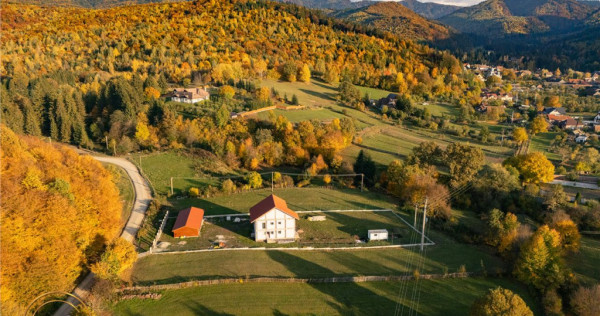 FILM! Vila intr-un peisaj mirific, cu 2.900mp teren, Covasna