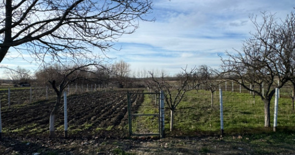 Teren Intravilan 1300mp