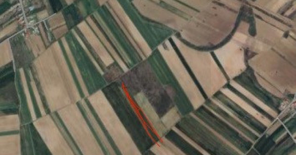 Teren extravilan Zorile Giurgiu 5000mp