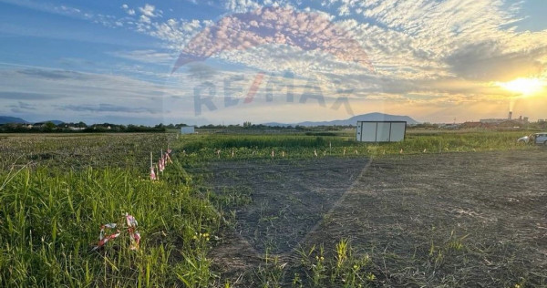 Teren intrare Sanpetru 668mp, str Tudor Arghezi-zona cart...