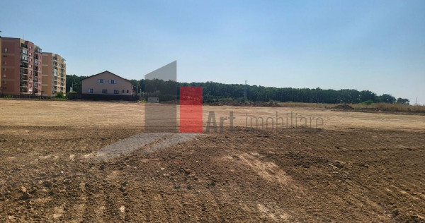 Teren Intravilan Matei Milo