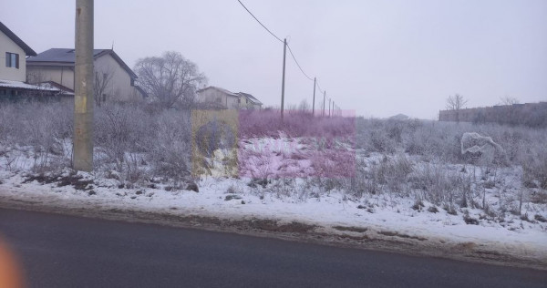 Teren Domnesti 12300 mp de vanzare sau asociere