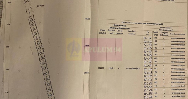 Teren Domnesti 12300 mp