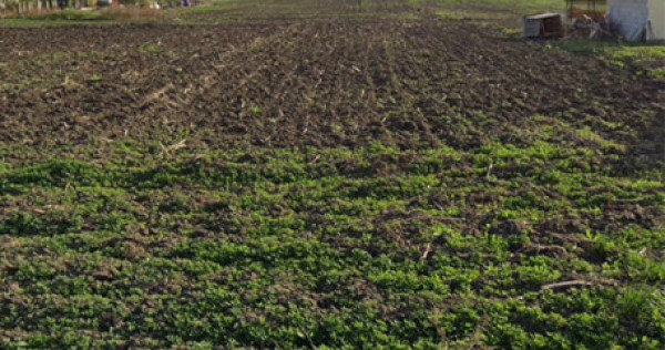 Teren intravilan 1500mp