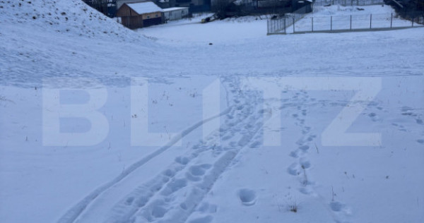 Teren de v&acirc;nzare, 6000 mp + o casă bătr&acirc;nească, &icirc;n Vor