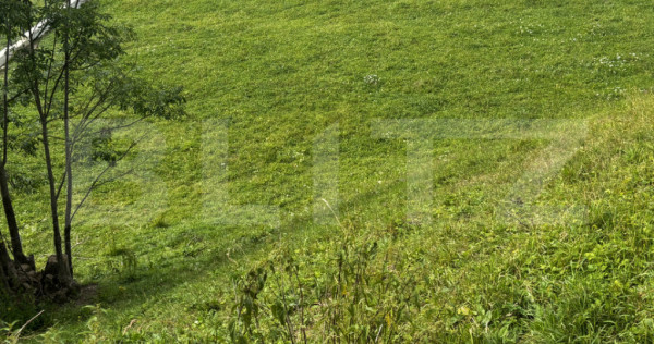 Teren intravilan de v&acirc;nzare, 6500mp + o casă bătr&acirc;neasc?