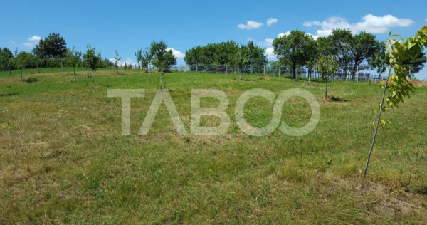 Teren 1974 mp intravilan de vanzare in Loman judetul Alba