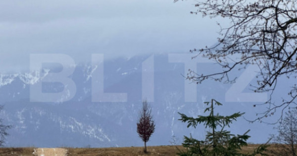 Teren &icirc;n suprafață de 80.000 mp, situat &icirc;n Glăjerie &ndash;