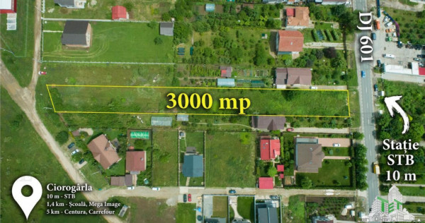 Teren 3000mp stradal cu toate utilitatile 10 minute de Bucur