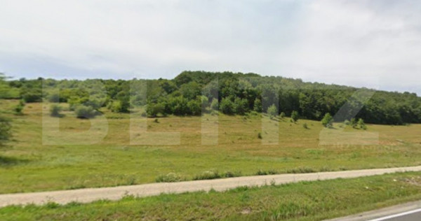 De Vanzare: Teren intravilan excepțional &icirc;n Codlea - prive