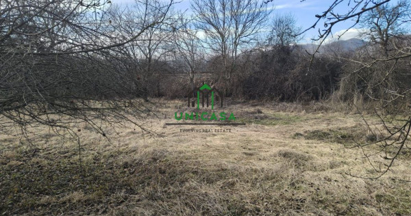 Teren Daesti / 814mp