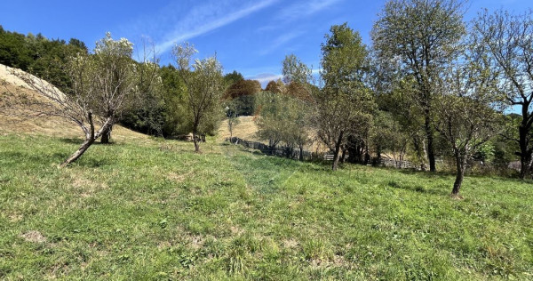 Teren de vanzare Rachitele | Investitie | Comision 0%