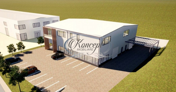 Teren industrial cu autorizatie hala, Valea Chintaului