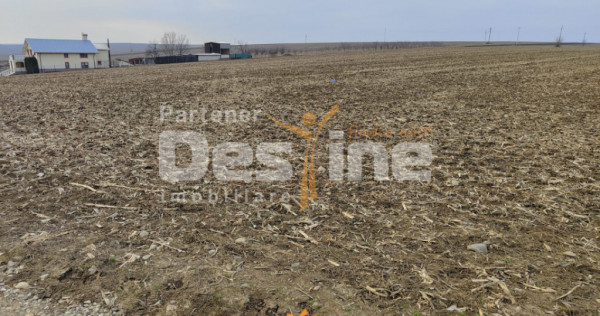 Comision 0% - Teren Primarie Dumesti, 8100 mp, front 13 ml,