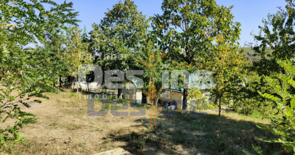 Casă l&acirc;ngă PĂDURE + anexe + 6400 mp TEREN intravilan - s