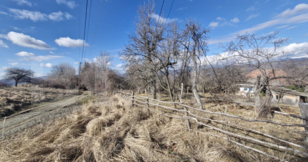 Teren intravilan 10.000 mp | Deschidere 40 m | Zonă de păd