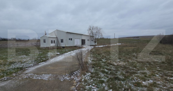 Hala industriala/comerciala, 190 mp, teren 2460 mp, Vulpeni