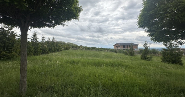 Teren intravilan 633mp cu utilitati si PUZ in Cartier Bavari