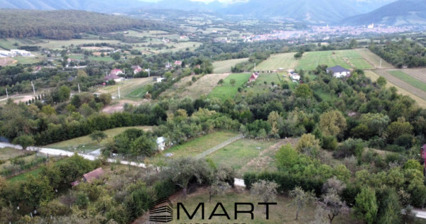 Teren intravilan 1000mp Tropinii Noi