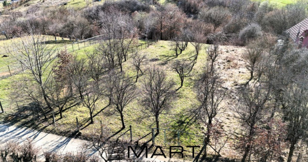 Teren intravilan 1000mp Tropinii Noi