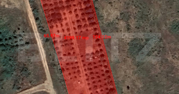 Teren intravilan - 4200 mp, parcelabil, construibil, cu liva