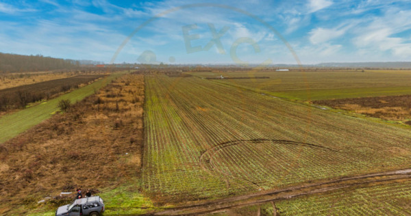 Teren intravilan 5040 mp, deschidere dubla