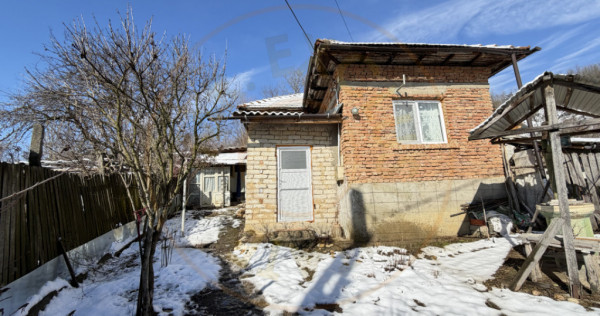Casa Batraneasca la 8 km de Topoloveni