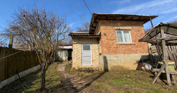 Casa Batraneasca la 8 km de Topoloveni