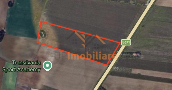 TEREN INTRAVILAN 24457 MP | 80 ML FRONT STRADAL | ORADEA | B